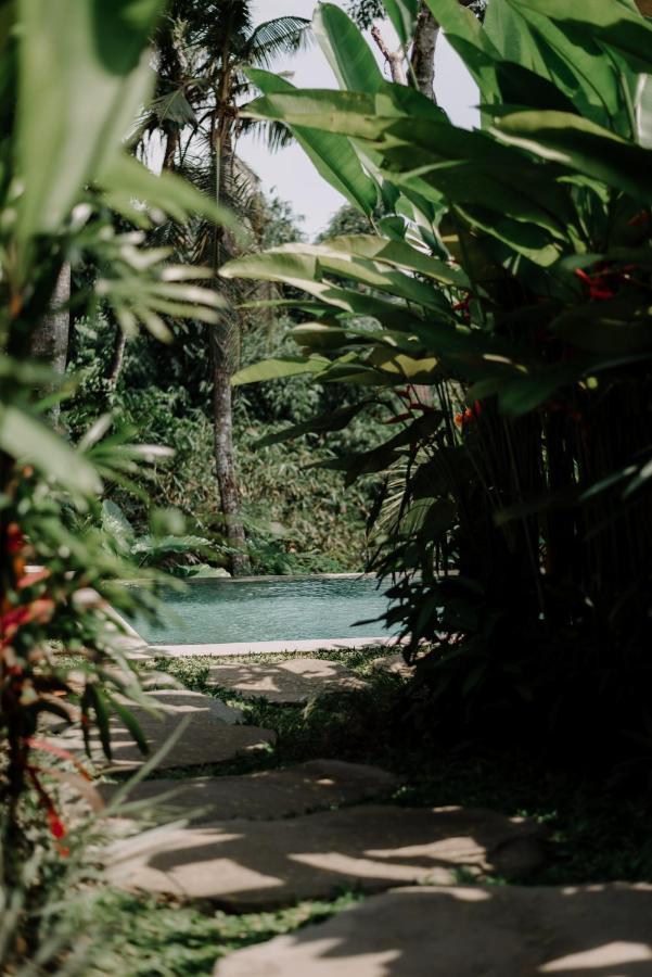 Villa Dharuna Ubud Exterior photo